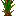 水稻