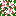 苹果树叶