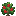 草莓苗