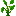 芝麻