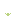 broccoli crop